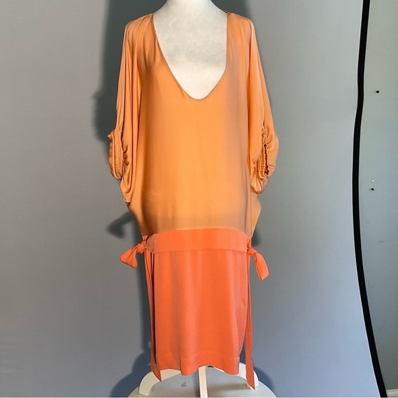 Diane Von Furstenberg Peach/Apricot Silk Drop Waist Batwing Puffed Sleeves Dress - Picture 1 of 16